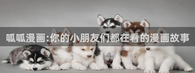 喵趣漫画官方正版入口