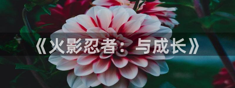 喵趣漫画ios正版官方网站